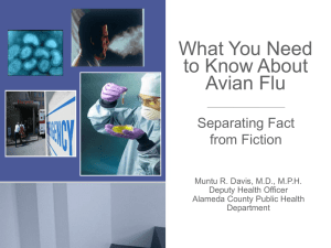 What You Need to Know About Avian Flu
