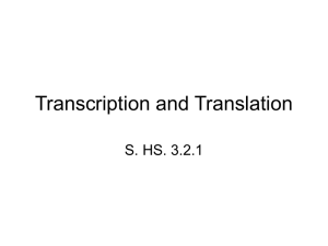 3.2.1: Transcription and Translation