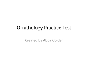 Ornithology_Practice_Test