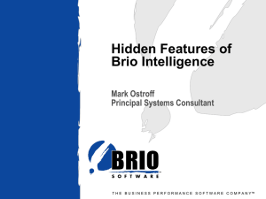 Hidden Features of Brio Intelligence