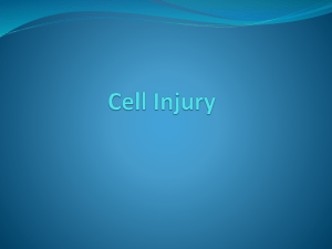 Cell injury