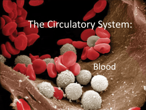 Chapter 18 Circulartory System