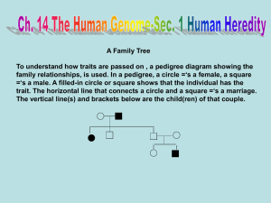 Ch. 14 The Human Genome-Section 3
