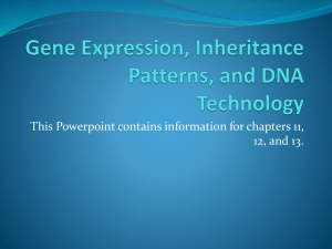 Gene Expression, Inheritance Patterns, and DNA Technology