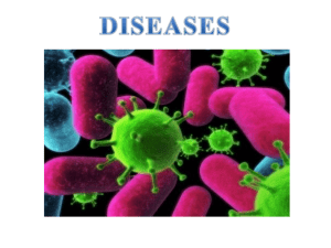 Chapter 13 Preventing Infectious Diseases