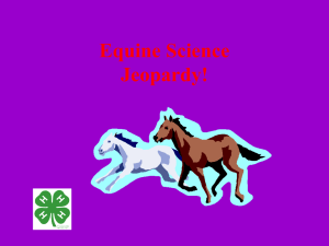 Test Your Knowledge with Equine Jeopardy