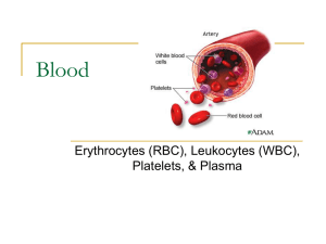 blood ppt notes
