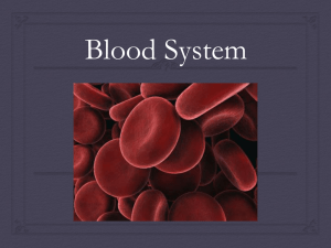 Blood System - Cloudfront.net