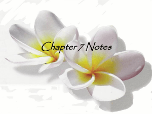 Chapter 7 Notes