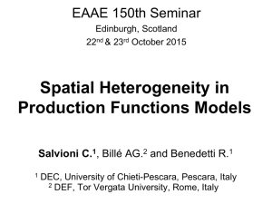 Spatial Heterogeneity in Production Functions Models
