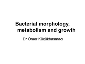 Bacterial morphology, metabolism and growth