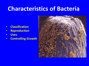 Bacteria Charactertics 10