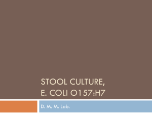 Stool culture, E. coli O157:H7
