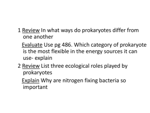 20.2 Prokaryotes