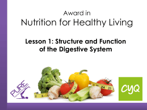 Lesson 1 - Structure and Function of Digestive System PDF Slides