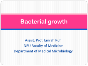 Bacterial growth