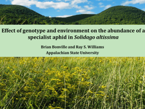 Environmental and genotypic effects in Solidago altissima on