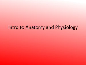 Intro to Anatomy and Physiology