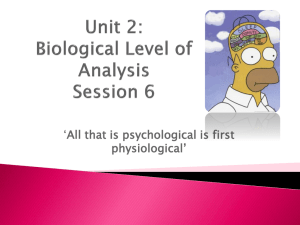 File - ISN Psychology Class of 2015