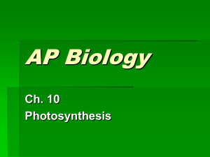 AP Biology photosynthesis
