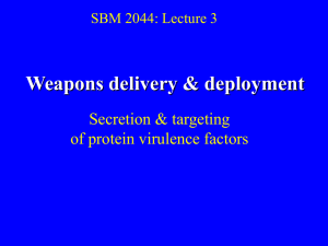 medmicro3-weapons delivery