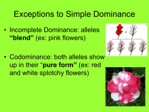 Exceptions to Simple Dominance