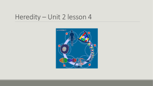 Heredity * Unit 2 lesson 4