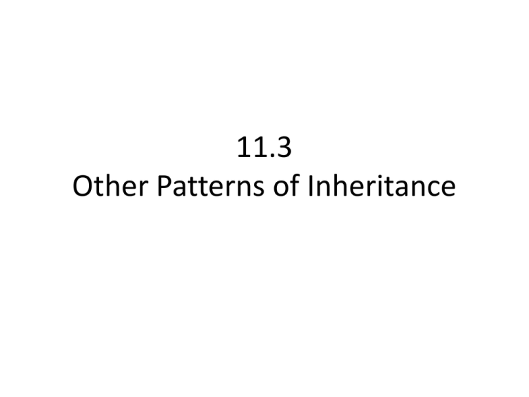 11 3 Other Patterns Of Inheritance Worksheet Answers Alixlaautentica