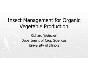 Insect Control for Organic Growers Rick Weinzierl, University of Illinois