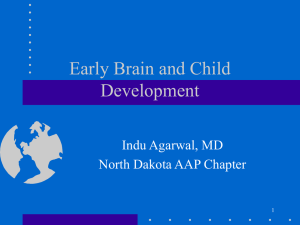 Early Brain and Child Development