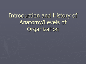 Introduction and History of Anatomy