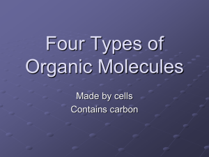 Four Types of Organic Molecules