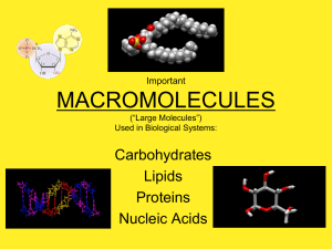 MACROmolecules