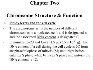 chromosome set