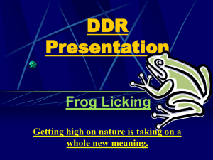 DDR Presentation