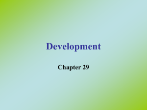 4. Development WEB