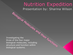 Nutrition Expedition