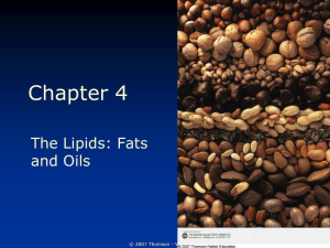 fats and lipids