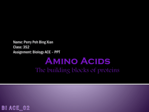 Amino Acids The building blocks of proteins - bioace-02