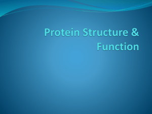 Protein Structure & Function