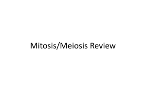 Mitosis/Meiosis Review