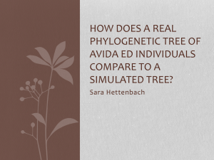 How does a real phylogenetic tree of avida ed individuals compare