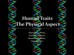 Human Traits The Rearrangement of DNA