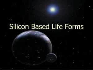 Silicon Based Life Forms