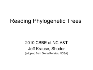 Reading Phylogenetic Trees