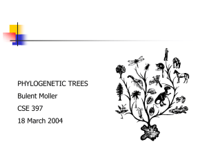 PHYLOGENETIC TREES