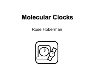 Molecular Clocks