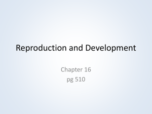 Reproduction PowerPoint