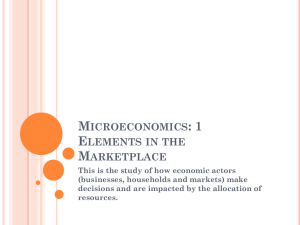 Microeconomics: Elements in the Marketplace