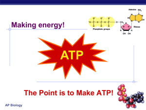 Chapter 8 Energy PPT